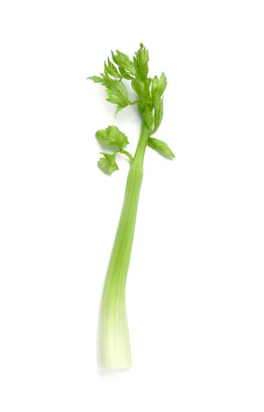 Fresh Stalk Celery Isolated White Top View — Stock Photo, Image