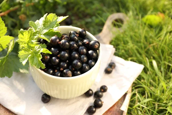 Ripe Blackcurrants Bowl Leaves Green Grass Space Text — Stock Photo, Image
