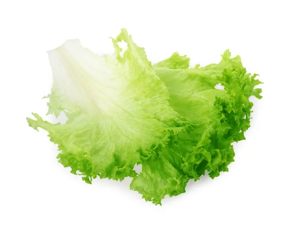 Čerstvé Listy Zeleného Salátu Izolované Bílém — Stock fotografie
