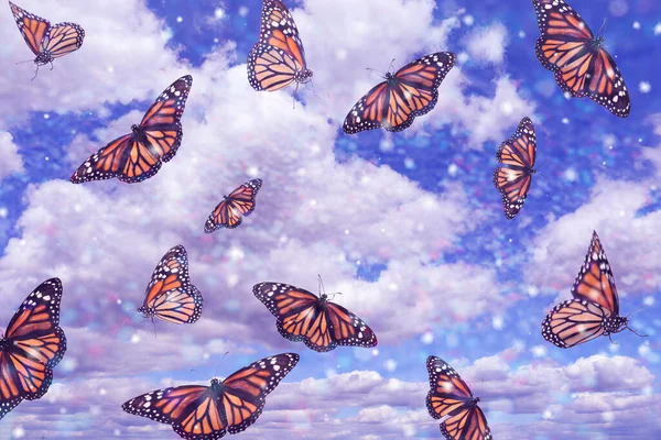 Muchas Hermosas Mariposas Volando Cielo Azul —  Fotos de Stock