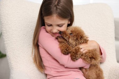 Koltuğunda şirin bir köpek yavrusu olan küçük bir çocuk. Sevimli hayvan