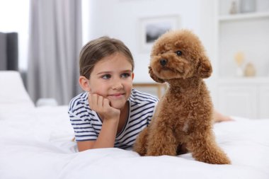 Evdeki yatakta küçük bir çocuk ve sevimli bir köpek yavrusu. Sevimli hayvan