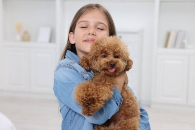 Evinde şirin bir köpek yavrusu olan küçük bir çocuk. Sevimli hayvan
