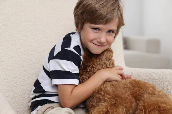 Niño Pequeño Con Lindo Cachorro Sillón Interior Hermosa Mascota — Foto de Stock