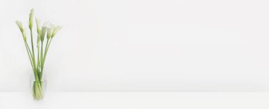 Beyaz arka planda güzel zambaklı cam vazo, pankart tasarımı