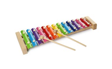 Beyaza izole edilmiş renkli çubukları ve tahta tokmakları olan bir glockenspiel. Çocuk oyuncağı.