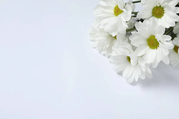 Bellissimi Fiori Crisantemo Sfondo Bianco Spazio Testo Simbolo Funebre — Foto Stock