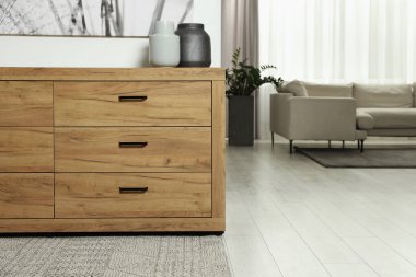 Çekmeceler, kanepe ve dekor elementleriyle dolu rahat bir oda, metin için boşluk