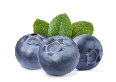 Taze taze yaban mersini ve yeşil yapraklar beyazın üzerinde izole edilmiş.