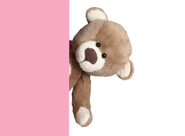 Cute Teddy Bear Peeking Out Blank Card White Background — Stock Photo, Image