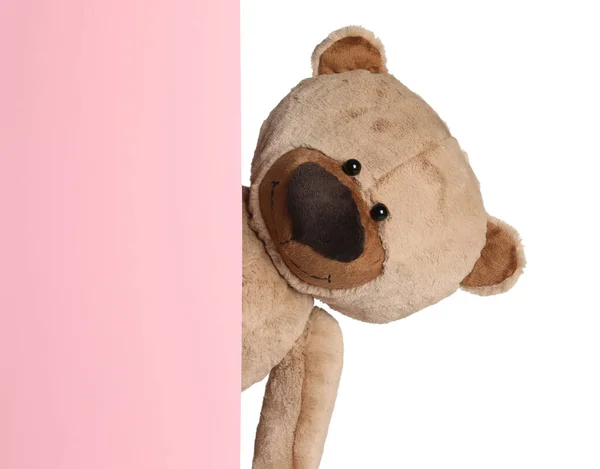 Niedlicher Teddybär Guckt Aus Leerer Karte Auf Weißem Hintergrund — Stockfoto