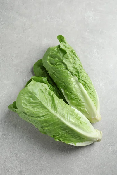 Fresh Green Romaine Lettuces Light Grey Table Top View — Stock Photo, Image