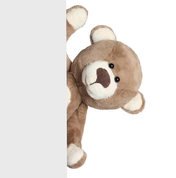 Niedlicher Teddybär Guckt Aus Leerer Karte Auf Weißem Hintergrund — Stockfoto