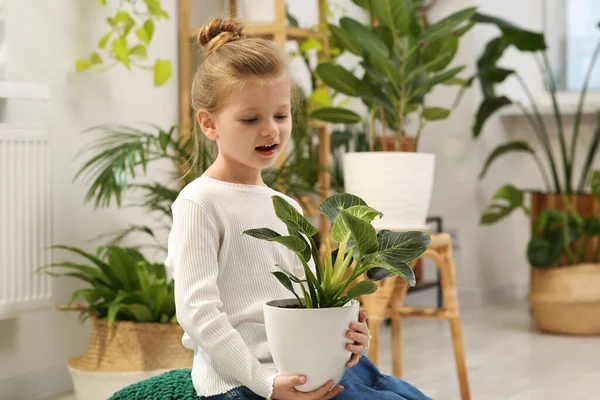 Menina Bonito Segurando Bela Planta Verde Casa Decoração Casa — Fotografia de Stock