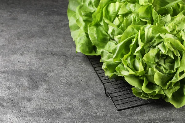 Fresh green butter lettuce on grey table, space for text