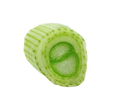 Piece of fresh green onion isolated on white