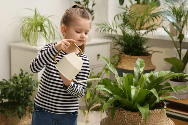 Aranyos Kislány Öntözés Gyönyörű Zöld Növény Otthon Lakberendezés — Stock Fotó