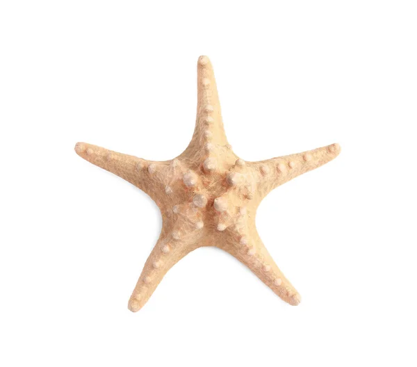 トップビューで隔離された美しい海の星 — ストック写真