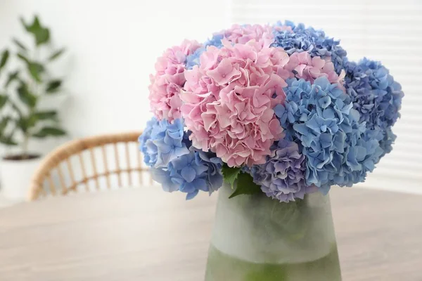 Vase Beautiful Hydrangea Flowers Table Indoors Closeup Space Text — Stock Photo, Image