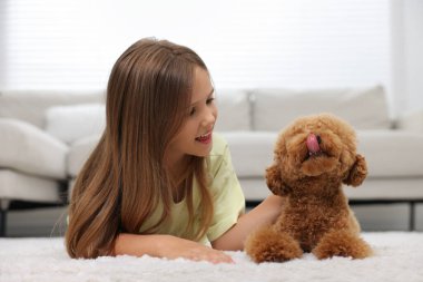 Evdeki halının üzerinde küçük bir çocuk ve sevimli bir köpek yavrusu. Sevimli hayvan