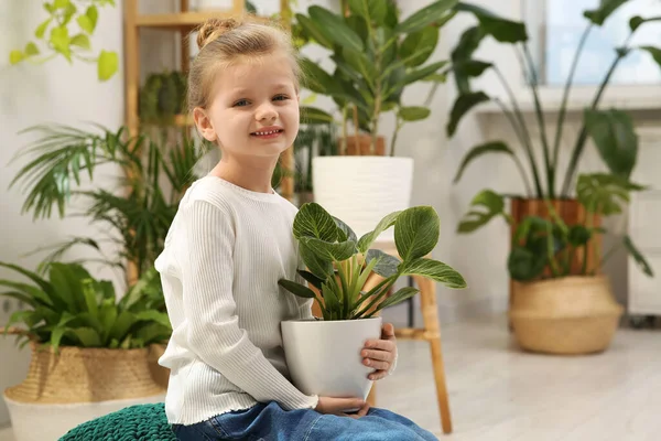 Menina Bonito Segurando Bela Planta Verde Casa Decoração Casa — Fotografia de Stock