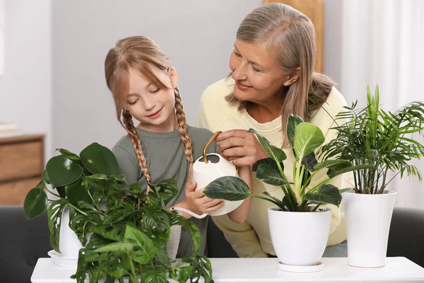 Mormor Med Sitt Barnbarn Vattna Krukväxter Tillsammans Hemma — Stockfoto
