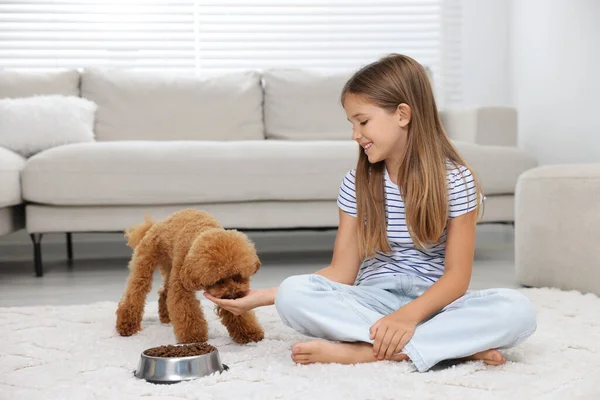 自宅でカーペットの上にかわいい子犬を飼っている小さな子供 ラブリーペット — ストック写真