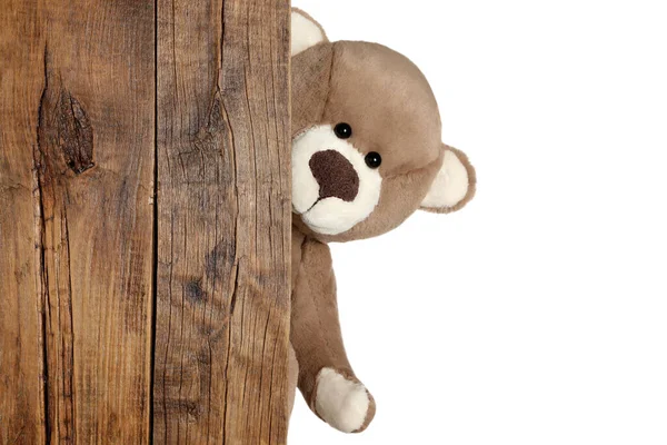 Roztomilý Medvídek Nakukující Dřevěné Desky Bílém Pozadí — Stock fotografie