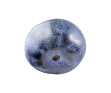 Taze olgun bir yaban mersini beyazda izole edilmiş.