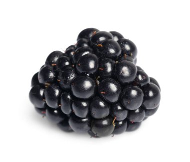 One tasty ripe blackberry isolated on white