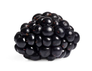 One tasty ripe blackberry isolated on white