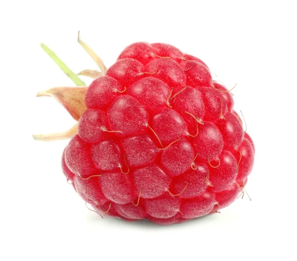 One Tasty Ripe Raspberry Isolated White — Stock Photo, Image