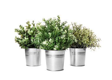 Beyaz arka planda yapay saksı bitkileri. Ev dekoru