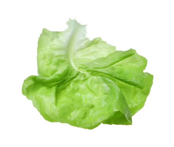 在白菜上分离的新鲜绿脂莴苣叶 — 图库照片