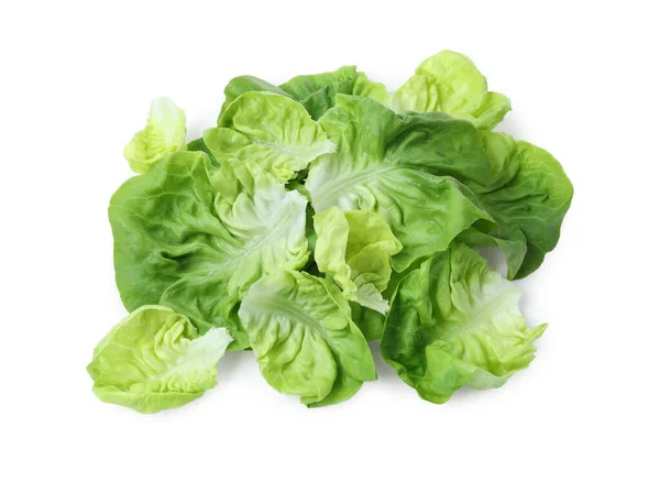 Čerstvé Zelené Máslo Salát Listy Izolované Bílém Horní Pohled — Stock fotografie