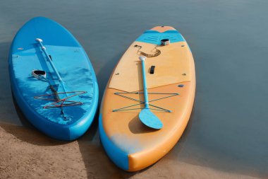 SUP boards with paddles on river shore