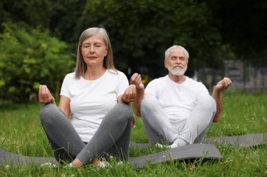 Yaşlı çift parkta yeşil çimlerde yoga yapıyor, seçici odaklanma.