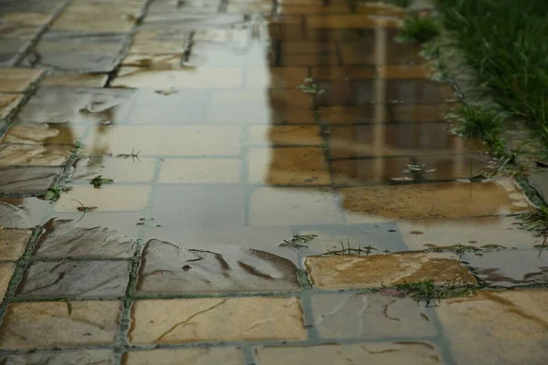 Puddle Rain Street Tiles Outdoors Closeup — Stock Photo, Image