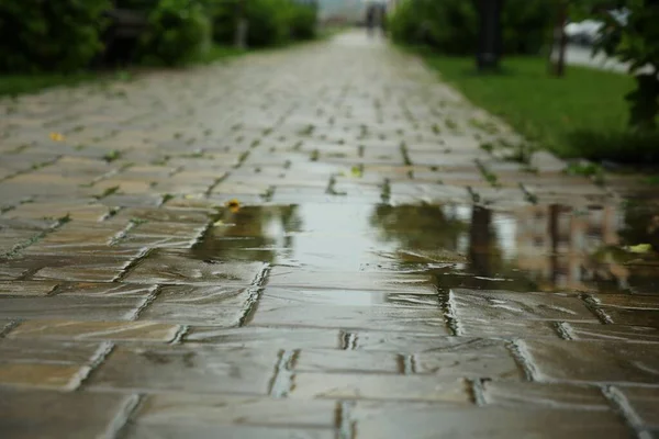 Sokak Fayanslarında Yağmur Üstüne Birikintisi Seçici Odak — Stok fotoğraf