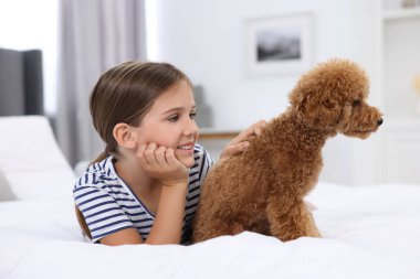 Evdeki yatakta küçük bir çocuk ve sevimli bir köpek yavrusu. Sevimli hayvan