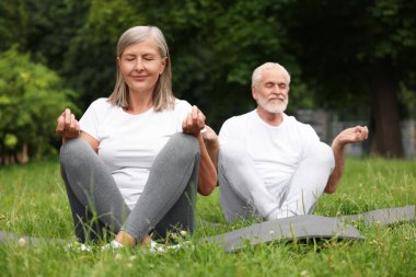 Yaşlı çift parkta yeşil çimlerde yoga yapıyor, seçici odaklanma.