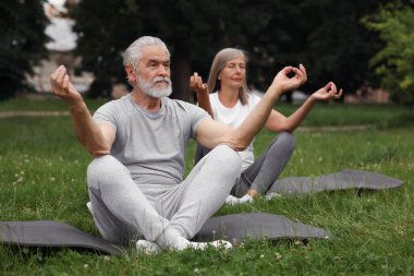 Yaşlı çift parkta yeşil çimlerde yoga yapıyor, seçici odaklanma.