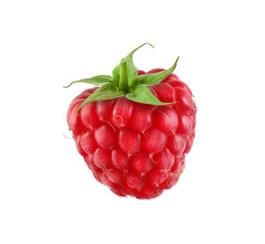 Beyaza izole edilmiş taze bir ahududu.