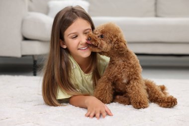 Evdeki halının üzerinde küçük bir çocuk ve sevimli bir köpek yavrusu. Sevimli hayvan