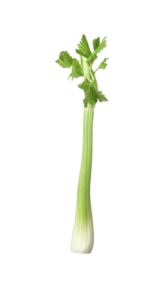 新鲜的芹菜茎 在白色上分离 — 图库照片