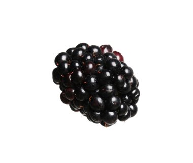 One tasty ripe blackberry isolated on white