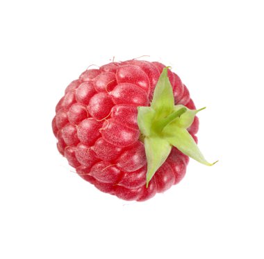 Beyaza izole edilmiş taze bir ahududu.