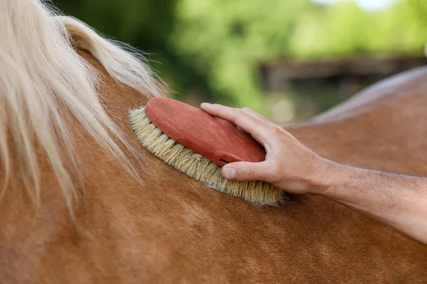 Mężczyzna Szczotkujący Uroczego Konia Zewnątrz Zbliżenie Opieka Nad Zwierzętami — Zdjęcie stockowe