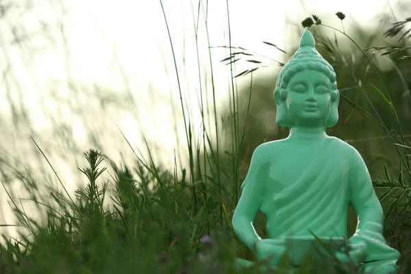 屋外の緑の草の装飾的な仏像 テキストのためのスペース — ストック写真