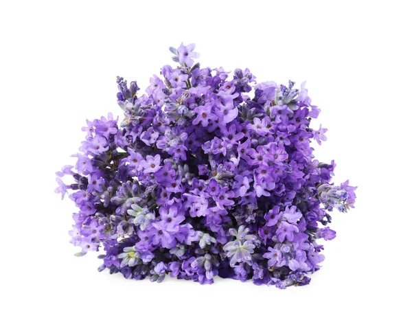 Bukett Med Vackra Lavendel Blommor Isolerade Vit — Stockfoto